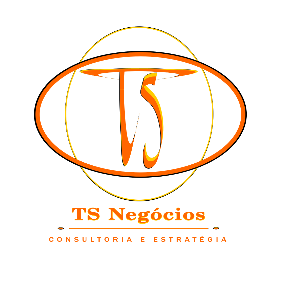 TS Neg&oacute;cios